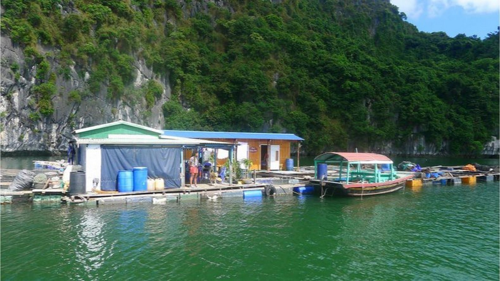 Cat Ba Island In Vietnam - Sheet3